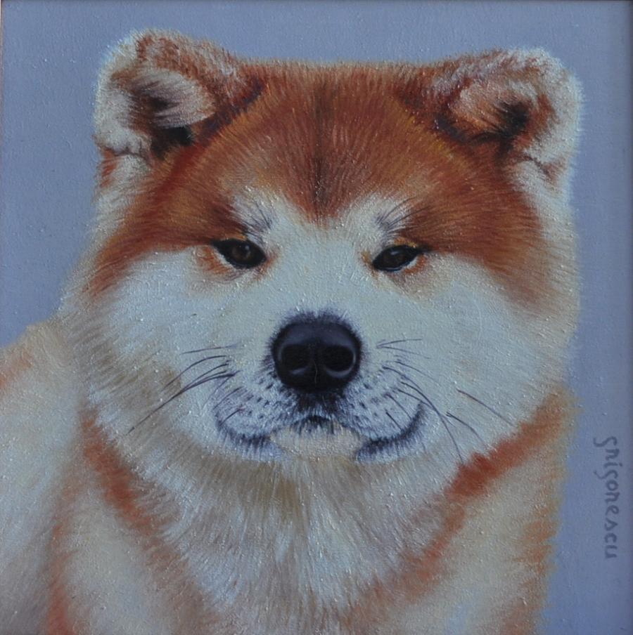 Picturi cu animale portret Akita