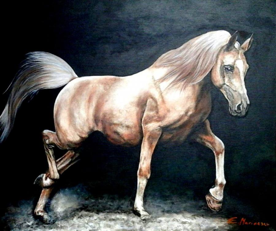 Picturi cu animale Oil painting horse 1