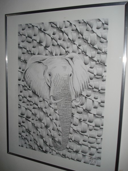 Picturi in creion / carbune Africa elefant