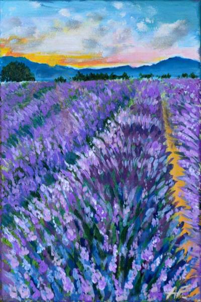 Poza Lavender field