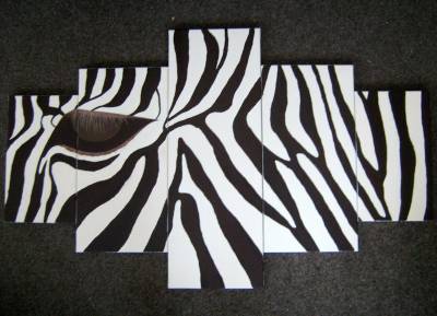 Poza Zebra