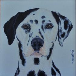 Picturi cu animale portret dalmatian