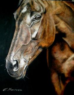 Picturi cu animale Oil painting horse 2